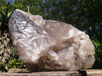 Natural Extra Large Smokey Quartz Cluster  x 1 From Madagascar - TopRock