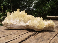 Natural Extra Large Clear Quartz Cluster With Golden Limonite Tint x 1 From Madagascar - TopRock