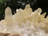 Natural Extra Large Clear Quartz Cluster With Golden Limonite Tint x 1 From Madagascar - TopRock