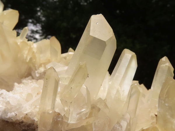 Natural Extra Large Clear Quartz Cluster With Golden Limonite Tint x 1 From Madagascar - TopRock