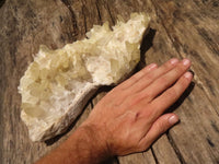 Natural Extra Large Clear Quartz Cluster With Golden Limonite Tint x 1 From Madagascar - TopRock