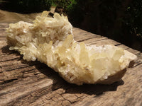 Natural Extra Large Clear Quartz Cluster With Golden Limonite Tint x 1 From Madagascar - TopRock