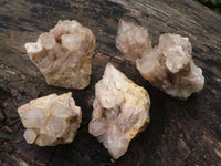 Natural White Phantom Smokey Quartz Clusters  x 4 From Luena, Congo - Toprock Gemstones and Minerals 