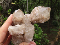 Natural White Phantom Smokey Quartz Clusters  x 4 From Luena, Congo - Toprock Gemstones and Minerals 