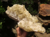 Natural Extra Large Clear Quartz Cluster With Golden Limonite Tint x 1 From Madagascar - TopRock