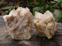 Natural White Phantom Smokey Quartz Clusters  x 4 From Luena, Congo - Toprock Gemstones and Minerals 