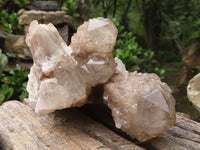 Natural White Phantom Smokey Quartz Clusters  x 4 From Luena, Congo - Toprock Gemstones and Minerals 