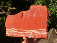 Natural Large Red Jasper Slabs  x 2 From Northern Cape, South Africa - TopRock