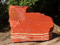 Natural Large Red Jasper Slabs  x 2 From Northern Cape, South Africa - TopRock