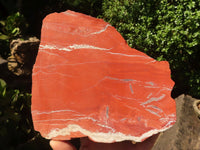 Natural Large Red Jasper Slabs  x 2 From Northern Cape, South Africa - TopRock