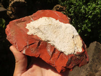 Natural Large Red Jasper Slabs  x 2 From Northern Cape, South Africa - TopRock