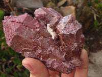 Natural Red Hematoid Quartz Specimens x 5 From Karoi, Zimbabwe