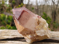 Natural Red Hematoid Quartz Specimens x 5 From Karoi, Zimbabwe