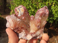 Natural Red Hematoid Quartz Specimens x 5 From Karoi, Zimbabwe