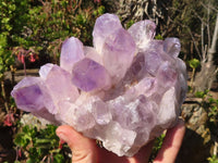 Natural Jacaranda Amethyst Clusters x 2 From Mumbwe, Zambia