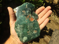 Polished Green Mtorolite / Emerald Chrome Chrysoprase Plates  x 3 From Zimbabwe - TopRock