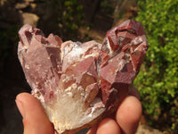 Natural Red Hematoid Quartz Specimens x 5 From Karoi, Zimbabwe