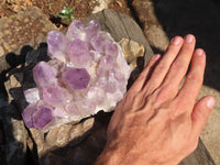 Natural Jacaranda Amethyst Clusters x 2 From Mumbwe, Zambia