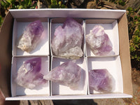 Natural Jacaranda Amethyst Crystals x 6 From Mumbwe, Zambia