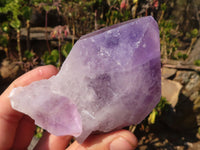 Natural Jacaranda Amethyst Crystals x 6 From Mumbwe, Zambia