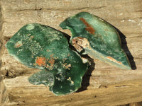 Polished Green Mtorolite / Emerald Chrome Chrysoprase Plates  x 3 From Zimbabwe - TopRock