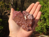 Natural Red Hematoid Quartz Specimens x 5 From Karoi, Zimbabwe