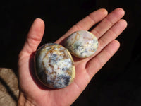 Polished Dendritic Opal Palm Stones  x 12 From Madagascar - Toprock Gemstones and Minerals 