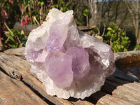 Natural Jacaranda Amethyst Clusters x 2 From Mumbwe, Zambia