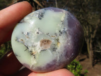 Polished Dendritic Opal Palm Stones  x 12 From Madagascar - Toprock Gemstones and Minerals 