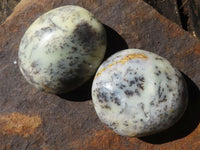 Polished Dendritic Opal Palm Stones  x 12 From Madagascar - Toprock Gemstones and Minerals 