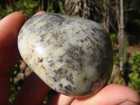 Polished Dendritic Opal Palm Stones  x 12 From Madagascar - Toprock Gemstones and Minerals 