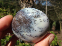 Polished Dendritic Opal Palm Stones  x 12 From Madagascar - Toprock Gemstones and Minerals 