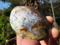 Polished Dendritic Opal Palm Stones  x 12 From Madagascar - Toprock Gemstones and Minerals 