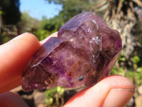 Natural Smokey Amethyst Window Quartz Crystals  x 20 From Chiredzi, Zimbabwe - Toprock Gemstones and Minerals 