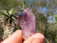 Natural Smokey Amethyst Window Quartz Crystals  x 20 From Chiredzi, Zimbabwe - Toprock Gemstones and Minerals 