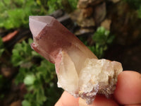 Natural Red Hematoid Phantom Quartz Crystals  x 35 From Karoi, Zimbabwe - TopRock