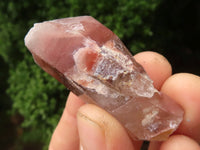 Natural Red Hematoid Phantom Quartz Crystals  x 35 From Karoi, Zimbabwe - TopRock