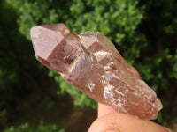 Natural Red Hematoid Phantom Quartz Crystals  x 35 From Karoi, Zimbabwe - TopRock