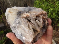 Natural Rare Bladed Baryte Specimens  x 2 From Congo