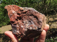 Natural Mixed Selection Of Rough Minerals  x 7 From Southern Africa - TopRock