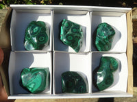 Polished Flower Banded Malachite Free Forms  x 6 From Congo - Toprock Gemstones and Minerals 