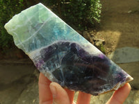 Polished Watermelon Fluorite Slices  x 3 From Uis, Namibia