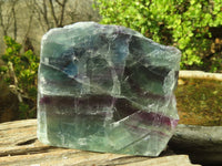 Polished Watermelon Fluorite Slices  x 3 From Uis, Namibia