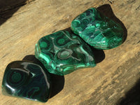 Polished Flower Banded Malachite Free Forms  x 6 From Congo - Toprock Gemstones and Minerals 