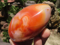 Polished Large Carnelian Agate Standing Free Forms x 4 From Madagascar - TopRock