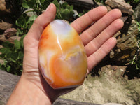 Polished Large Carnelian Agate Standing Free Forms x 4 From Madagascar - TopRock