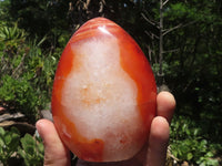 Polished Large Carnelian Agate Standing Free Forms x 4 From Madagascar - TopRock