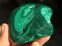 Polished Flower Banded Malachite Free Forms  x 6 From Congo - Toprock Gemstones and Minerals 