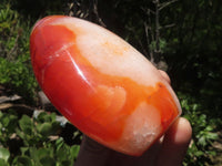 Polished Large Carnelian Agate Standing Free Forms x 4 From Madagascar - TopRock