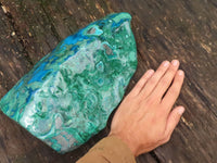 Polished Stunning Extra Large Blue Malacholla Display Piece  x 1 From Congo - TopRock